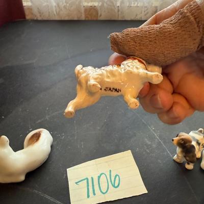 Tiny puppies