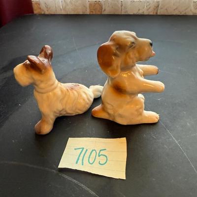 Puppies