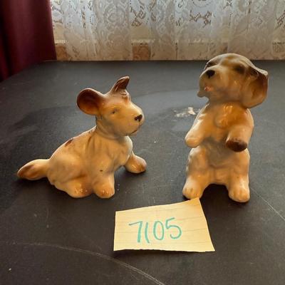 Puppies