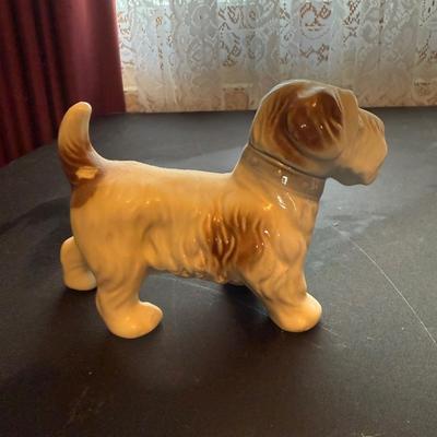Puppy