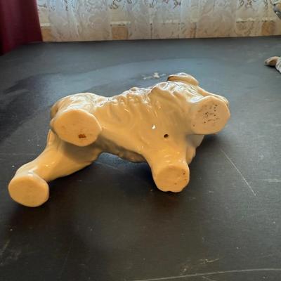 Puppy