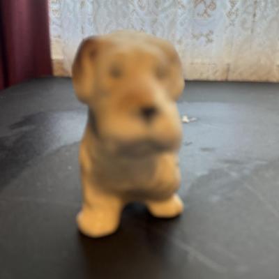 Puppy