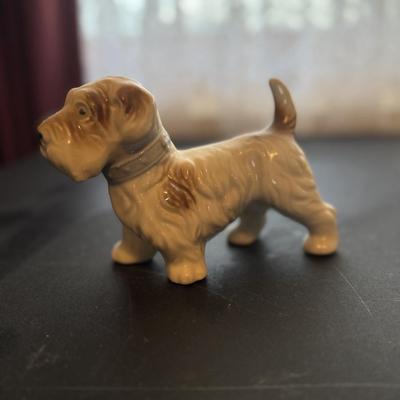 Puppy