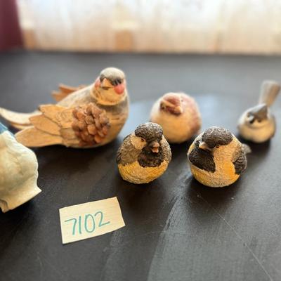 Birds