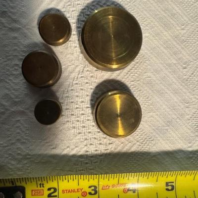 Scale Plus