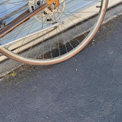 Schwinn Bicycle