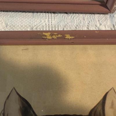 5 Picture Set