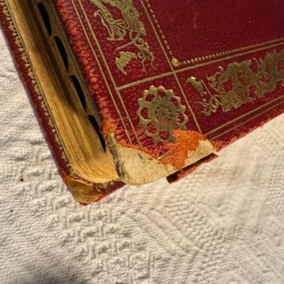Antique Photo Album Plus