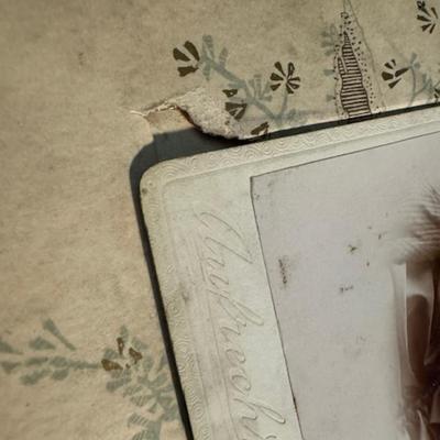 Antique Photo Album Plus