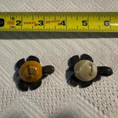 Turtles
