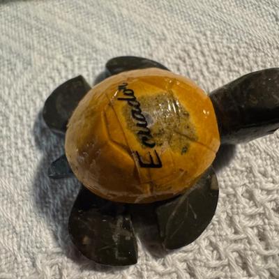 Turtles
