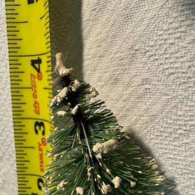 Bottle Brush Trees and Santa