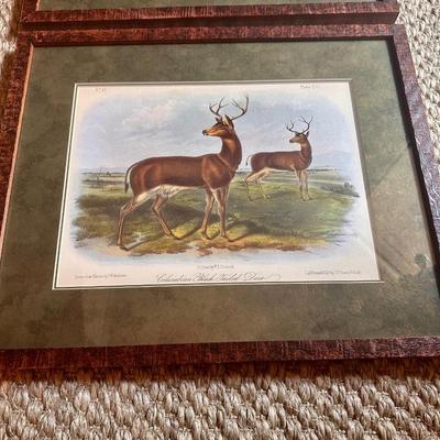 Pair of Lord Hopkins - On The Stone Lith Framed Prints