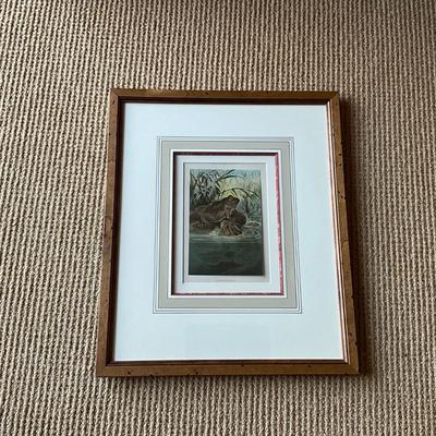 UA773 Antique Prang Amphibian Chromolithograph Bullfrog OCHSENFROSCH