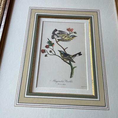 UA776 Pair of Hand Colored Bird Engravings