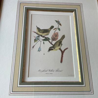 UA776 Pair of Hand Colored Bird Engravings
