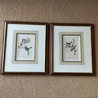 UA776 Pair of Hand Colored Bird Engravings