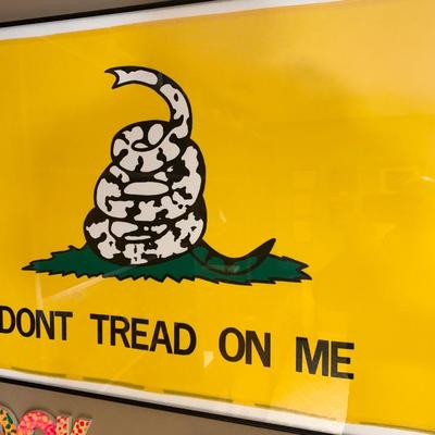 Framed Flag