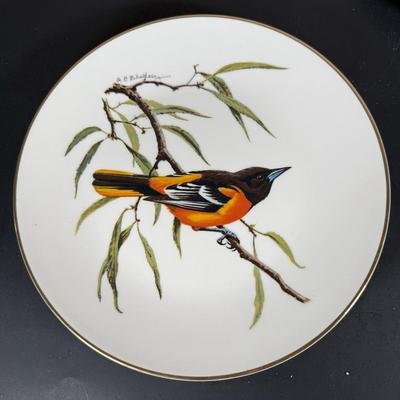 LOT 62D: Avon Bird Collection - Eggs w: Wooden Pedestals, Don Eckelberry Plates & Duck Figurines