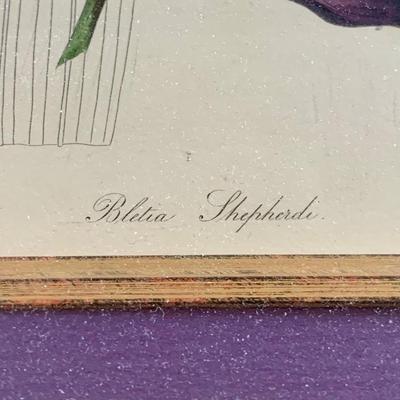 LOT 204 M: Floral Framed Wall Decor: Signed & Numbered Huntsberger Print & More