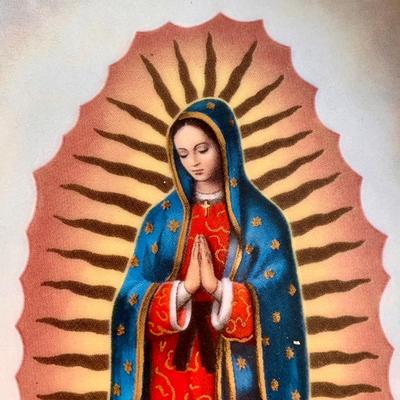 LOT 225 B: Collection of Bradford Exchange "Visions Of Our Lady" by Hector Garrido Collectors Plates: "Our Lady Of...