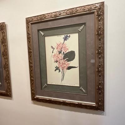 Pair of Beautiful Frames Artwork 48 X 39