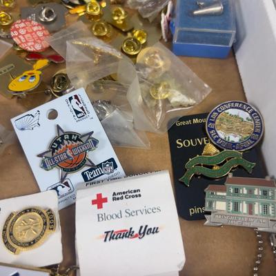 Giant Lot of Pins Mixed Variety 
