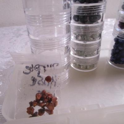 Bead case with mini jars, beads & jewelry making