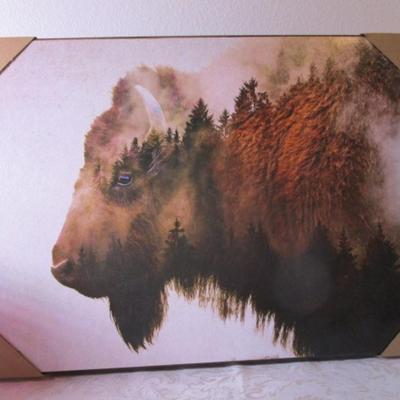 Buffalo picture