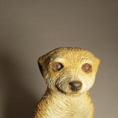 Sandicast meerkat suricate sculpture figurine