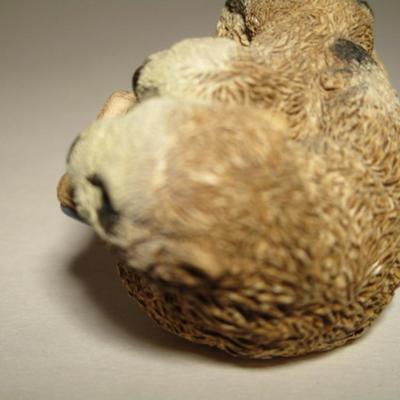 Sea otter reading a book to its child figurine