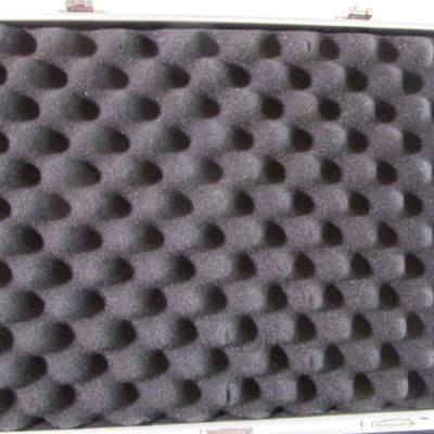 Invicta hard-sided watch case