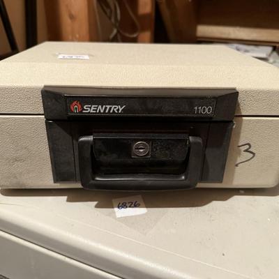 Sentry 1100 safe