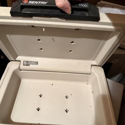 Sentry 1100 safe