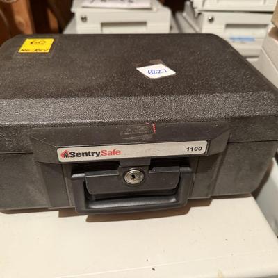 Sentry 1100 safe