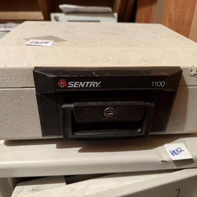 Sentry 1100 safe