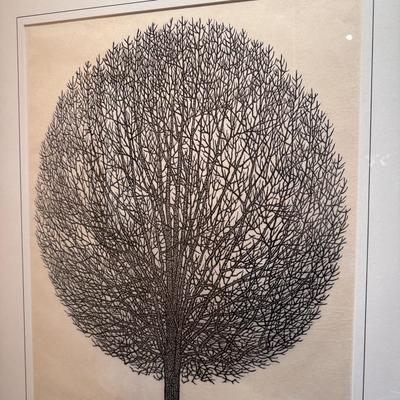 “Leafless Tree” by Jacques Hnizdovsky (DR-DZ)