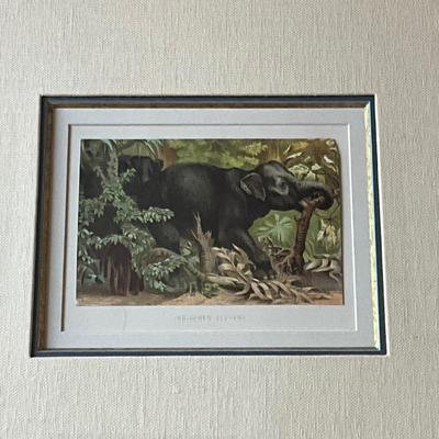 UB794 Antique Framed Indischer Elephant Color Lithograph