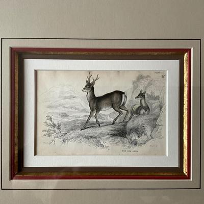 UC808 Pair of William Jardine Engravings Sepaul Stag , The Roe Deer