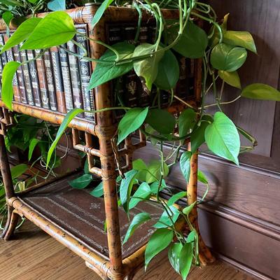 FR859 Chinese Chippendale Bamboo Book Planter