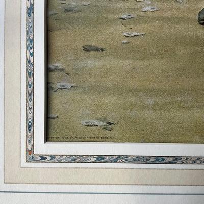 FR891 Pair of Arthur Burdett Frost (1851-1928) "Good Luck / Bad Luck" Framed Prints