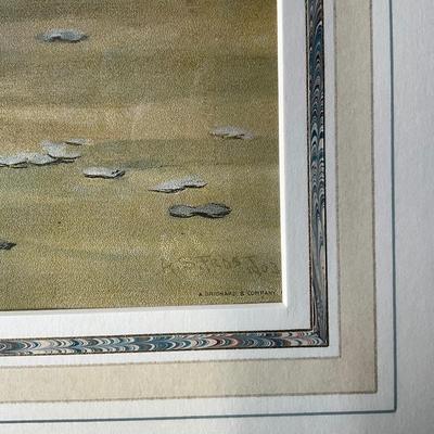 FR891 Pair of Arthur Burdett Frost (1851-1928) "Good Luck / Bad Luck" Framed Prints