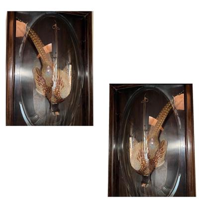 FB894 Pair of Waterfowl Pheasant Bird Lighted Wall Hanging in Dome Glass Case