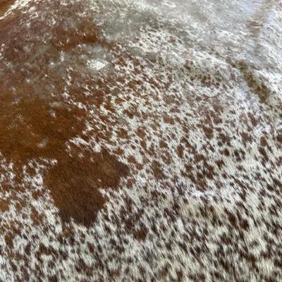 Pair of Genuine Cowhide Rugs