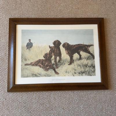 GH928 Vintage Thomas Blinks "The Shamrock" Framed Hunting Dogs Print