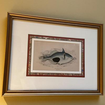GH936 Set of Three Antique Colored Prints