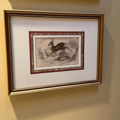 GH936 Set of Three Antique Colored Prints