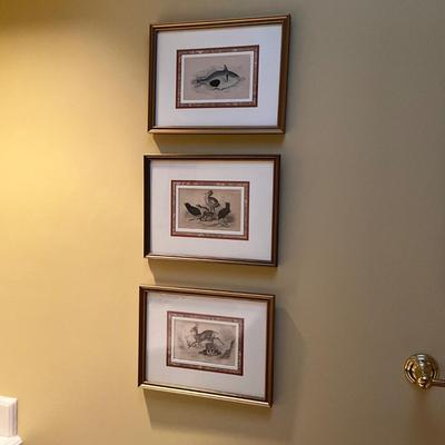 GH936 Set of Three Antique Colored Prints