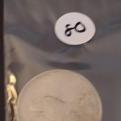 Pair of 1923 U.S. Mint Peace Silver Dollar Circulated (#80)