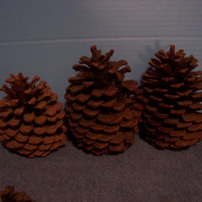 LOT 12 PINE CONES